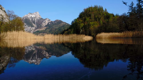 Scenic view of lake and mountains against clear blue sky in forest