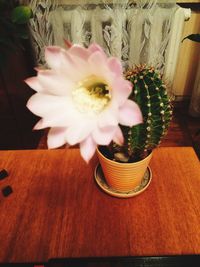 Close-up of flower vase on table