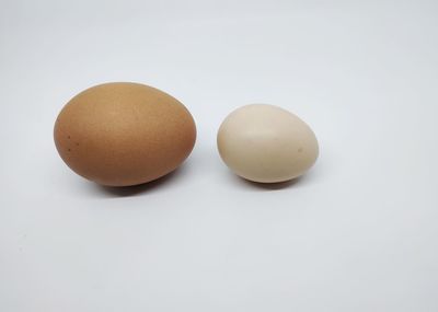 Close-up of eggs against white background