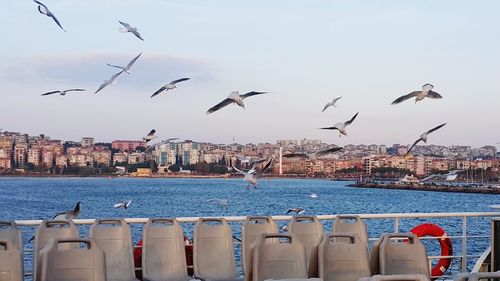 Seagulls flying over sea against cityscape