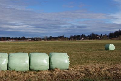 Hay bales on field