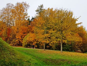 Trees on field during autumn