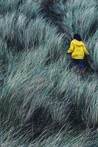 High angle view of person walking on grassy field