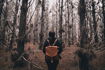 Rear view of man standing in forest