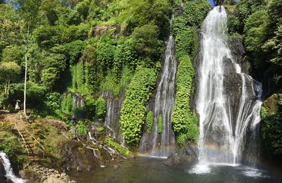 View of waterfall in forest