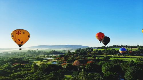 Hot air balloons flying against clear blue sky