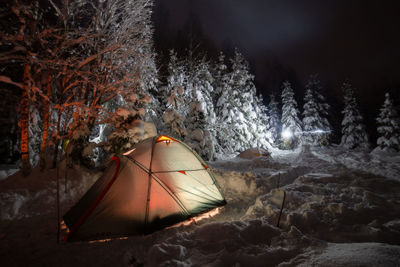 Tents by trees in forest at night