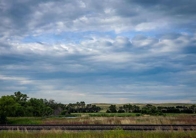 Scenic view of field against sky
