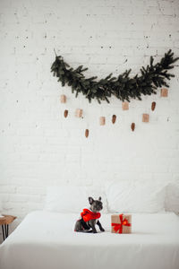 High angle view of christmas decorations on bed