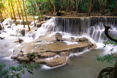 Scenic view of waterfall in forest