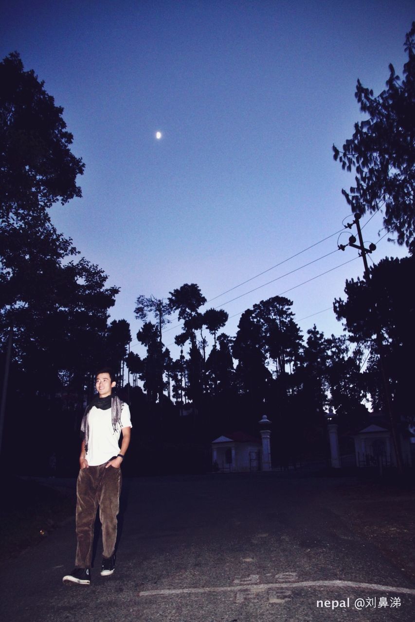 tree, clear sky, lifestyles, leisure activity, rear view, men, standing, person, full length, copy space, built structure, architecture, sky, building exterior, night, outdoors, walking, silhouette