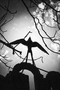 Low angle view of silhouette bare tree against sky