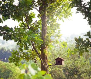 Low angle view of birdhouse on tree against sky