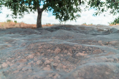 Surface level of land against the sky