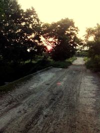 Road amidst trees against sky during sunset