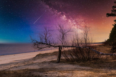 Bare tree on landscape against sky at night with milky way like miracle 