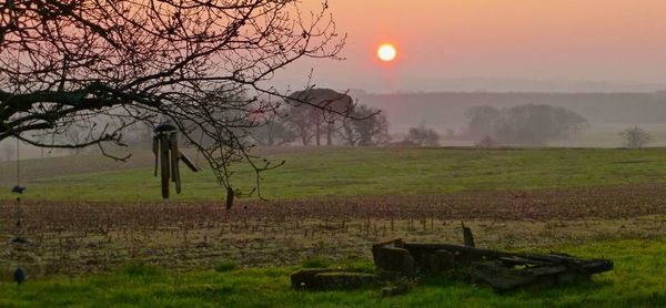 Scenic view of agricultural field against sky during sunset