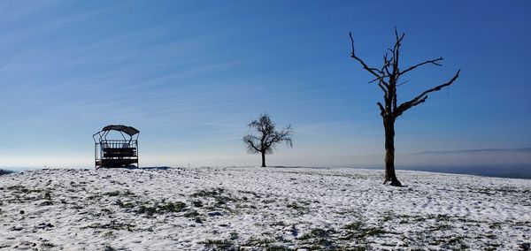 Bare tree on field against sky during winter
