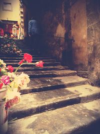 Flowers on steps