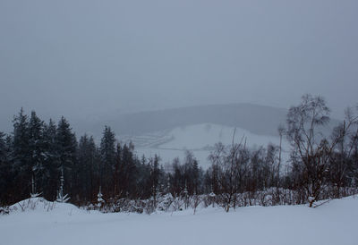 Trees on snow covered landscape against clear sky