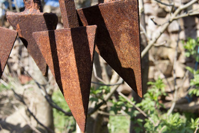 Close-up of hanging outdoors