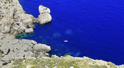 High angle view of bird on rock by sea