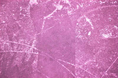 Full frame shot of pink petals