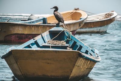 Fishing boat moored in sea