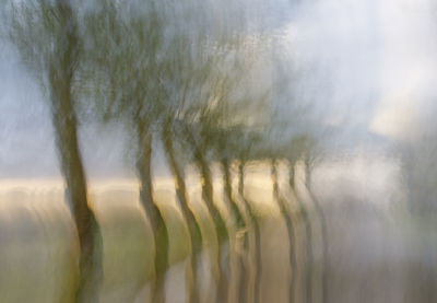 Blurred motion of trees on field against sky