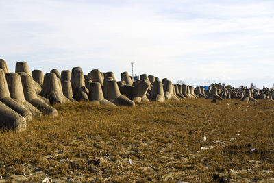 Panoramic shot of rocks on field against sky