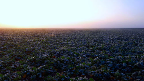 Scenic view of land against clear sky during sunset