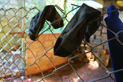 Close-up of leaf on chainlink fence