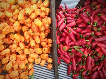 High angle view of vegetables for sale at market stall