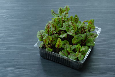 High angle view of vegetables on table