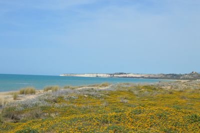 Scenic view of calm sea