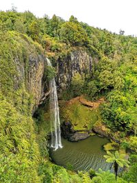 Scenic view of waterfall in forest