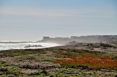 Scenic view of beach against sky