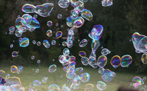 Soap bubbles in