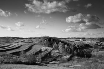 Scenic view of agricultural field against sky