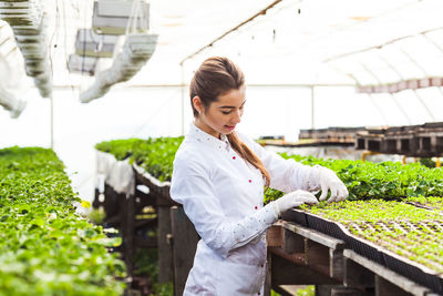 Woman working in greenhouse