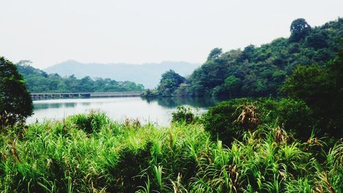 Scenic view of lake by trees against sky