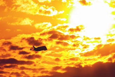 Low angle view of silhouette bird flying against orange sky