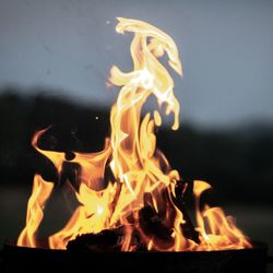 Close-up of bonfire