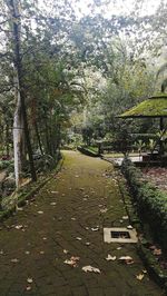 Footpath amidst trees in park