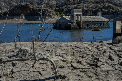 Houses by sea against trees