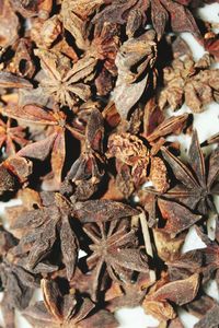 Close-up of dried leaves on plant