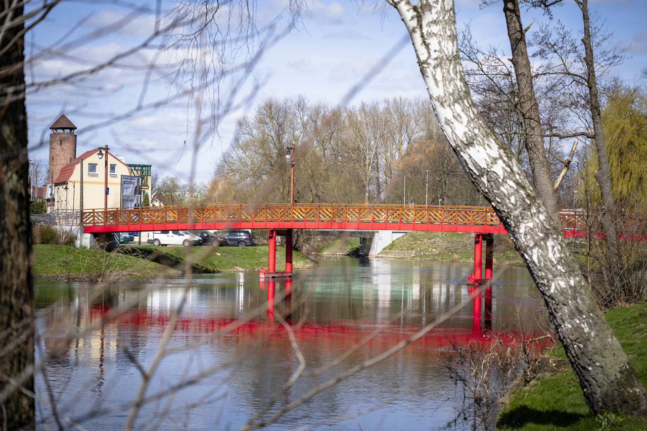 water, tree, bare tree, reflection, plant, nature, architecture, built structure, waterway, river, bridge, day, sky, no people, outdoors, transportation, building exterior, branch