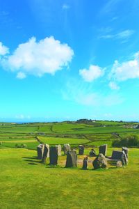 Dromberg stone circle aka druid's altar