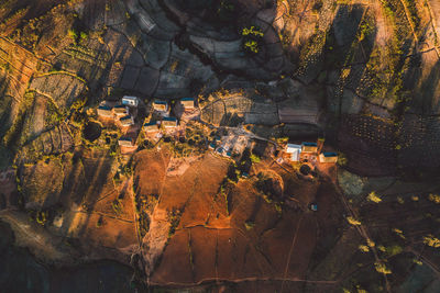 Rock formations in forest