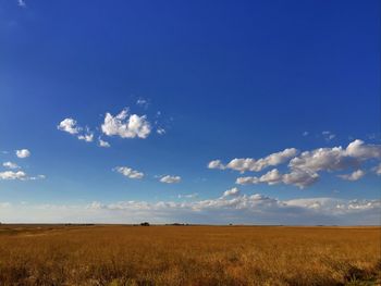 Scenic view of agricultural field against blue sky